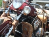 bike-show-31