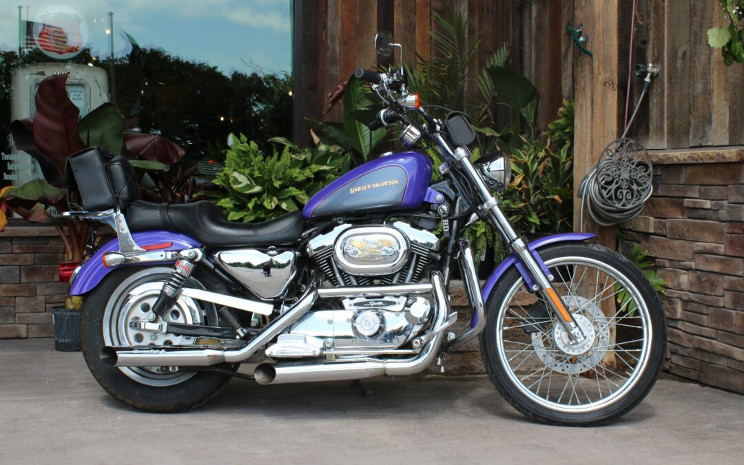 2002 HD Sportster 1200