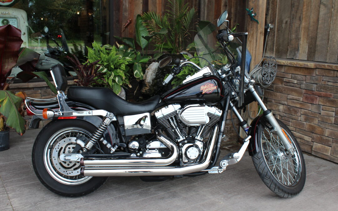 2001 Dyna Wide Glide