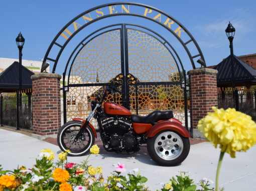 2009 883 Sportster