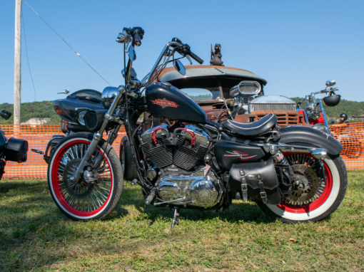 2012 1200 Sportster