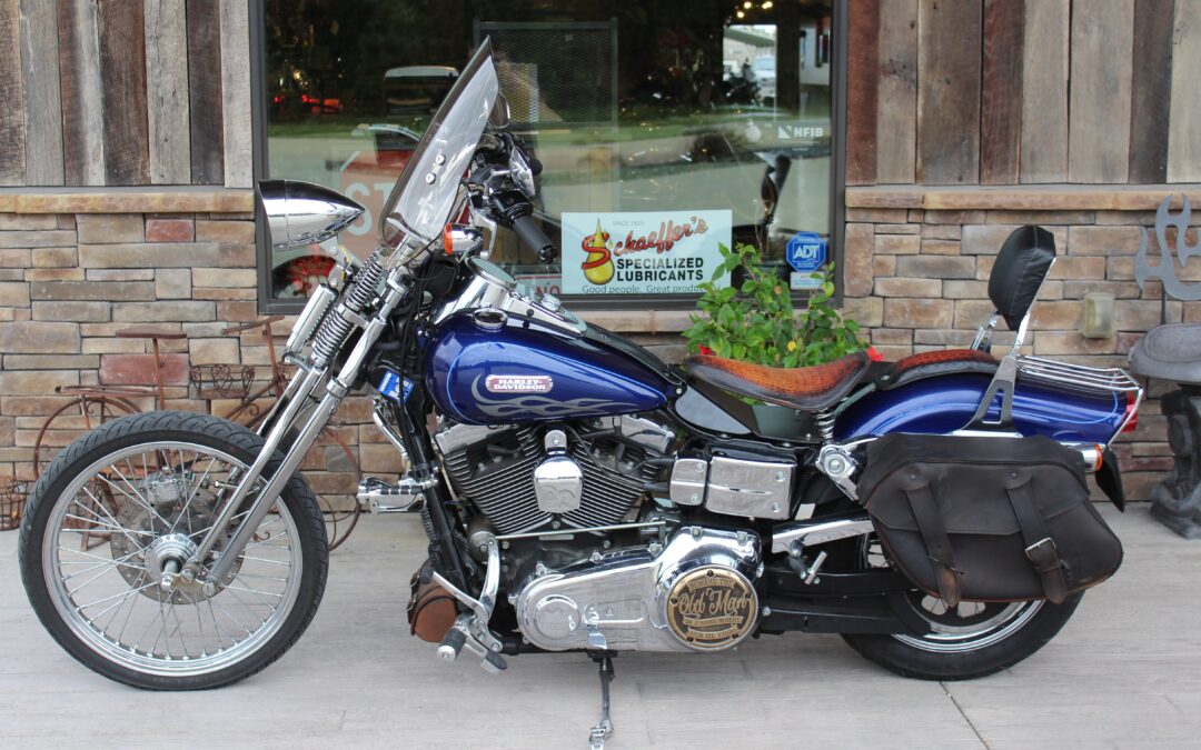 2006 Dyna Springer