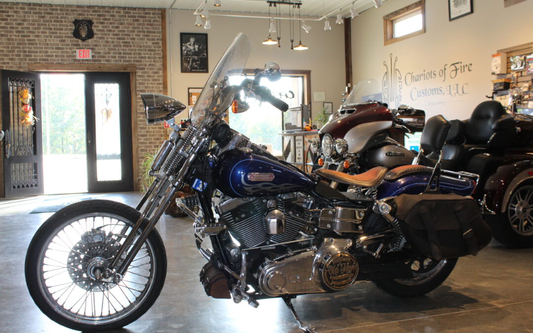 2006 Dyna Springer